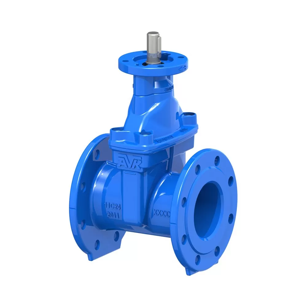 Van cổng - Duy Bình