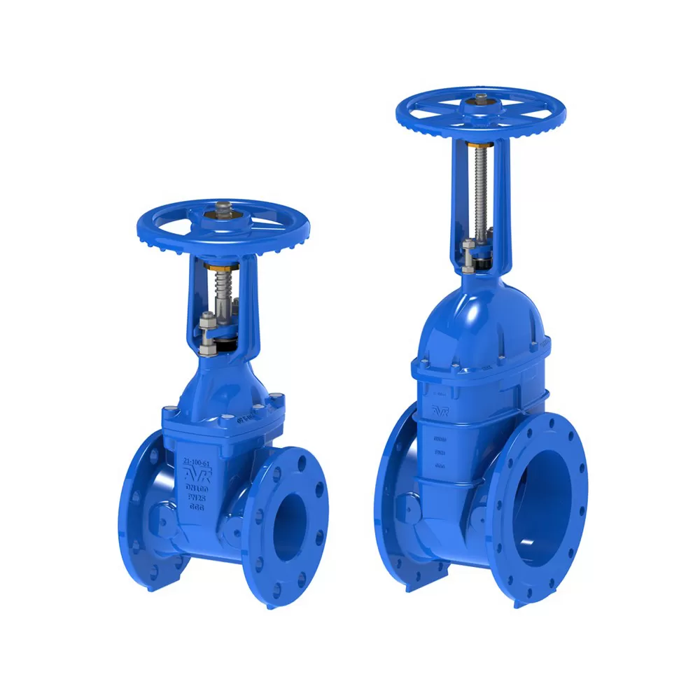 Van cổng - Duy Bình