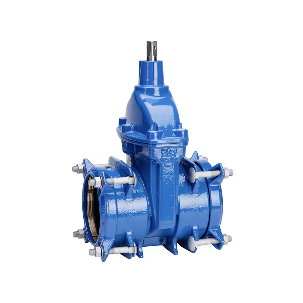 Van cổng - Duy Bình