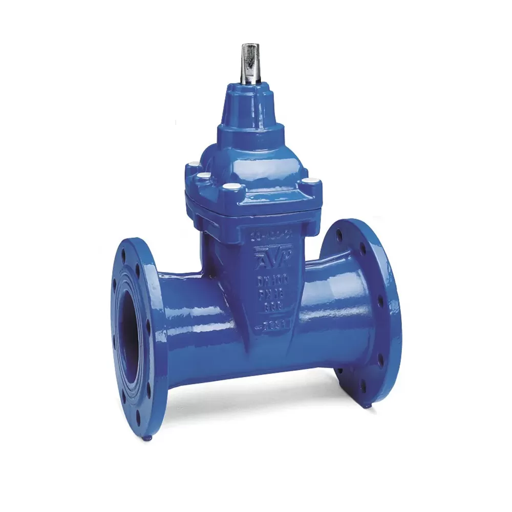 Van cổng - Duy Bình