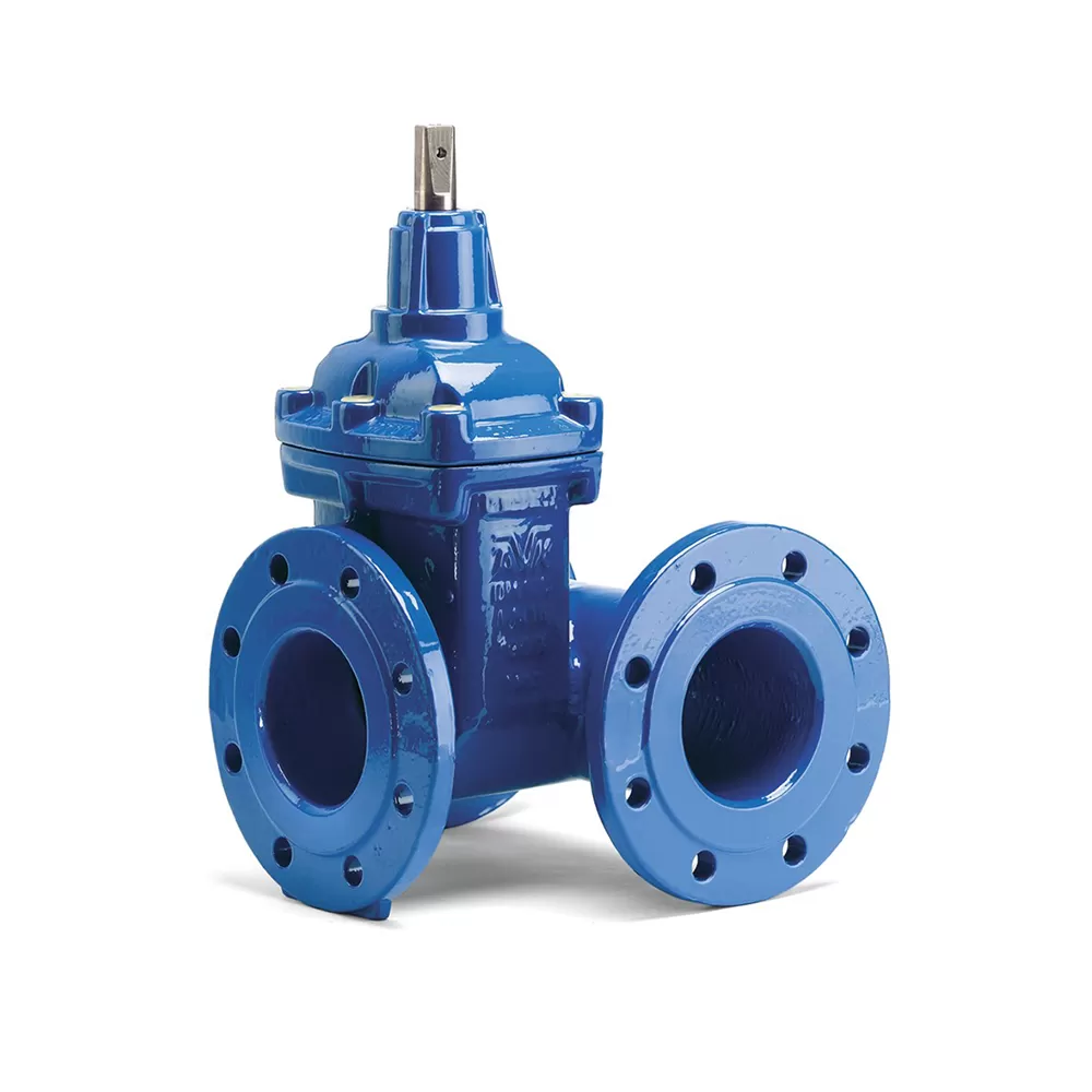 Van cổng - Duy Bình