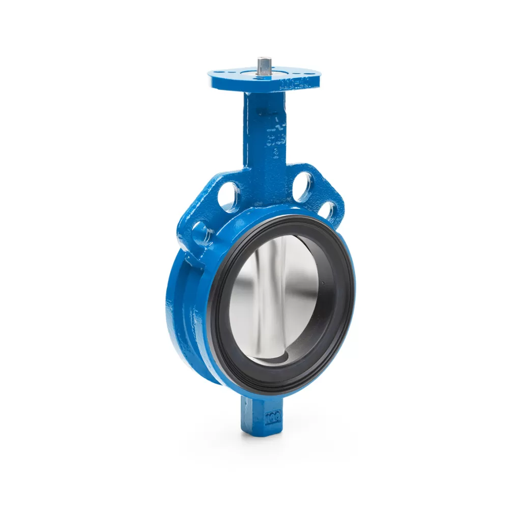 Van bướm - Duy Bình